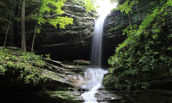 Ferne Clyffe Waterfall