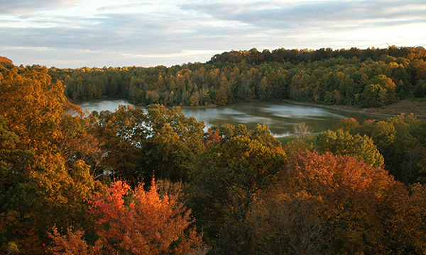 Ferne Clyffe lake view in autumn