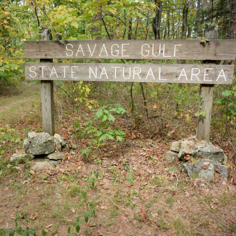 Savage Gulf National Park Sign